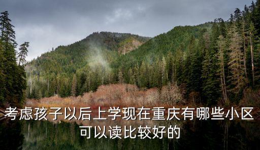 考虑孩子以后上学现在重庆有哪些小区可以读比较好的