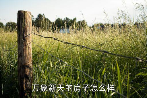 万象新天的房子怎么样
