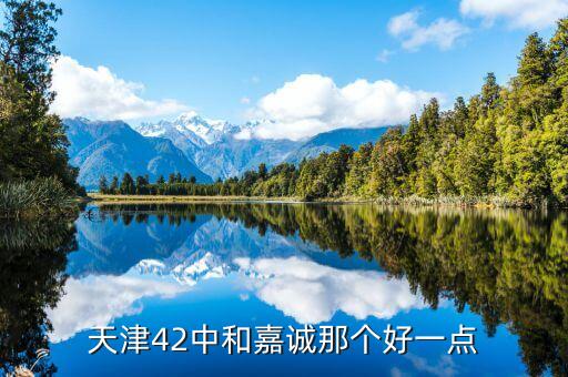 天津42中和嘉诚那个好一点