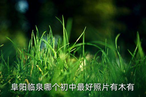 临泉学区房初中哪个好，临泉哪个中学好