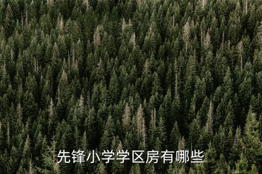 先锋小学学区房有哪些