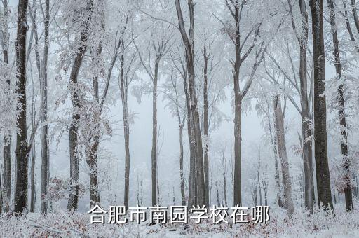 南园新村是哪个学区房，合肥市南园学校在哪