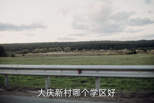 大庆新村哪个学区好