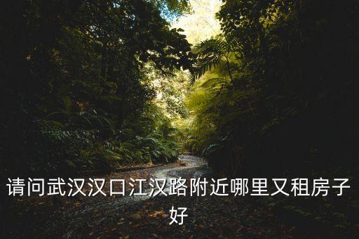 前进江汉学区房有哪些，请问武汉汉口江汉路附近哪里又租房子好