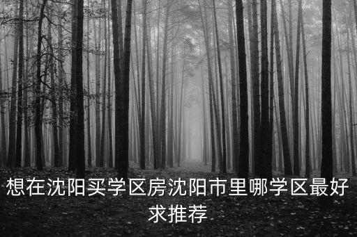 想在沈阳买学区房沈阳市里哪学区最好求推荐