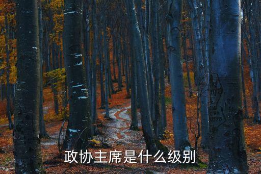 政协主席是什么级别