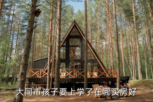 大同市孩子要上学了在哪买房好
