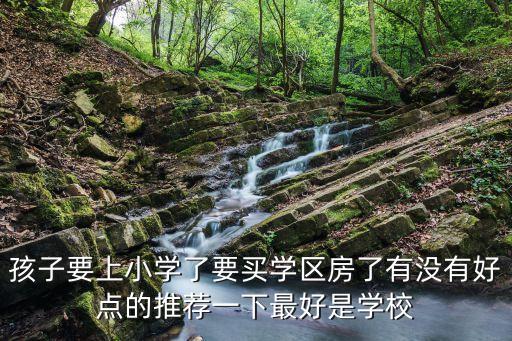 深圳后海哪个小学区房最好，孩子要上小学了要买学区房了有没有好点的推荐一下最好是学校