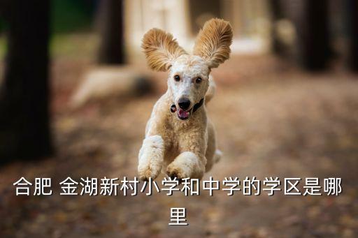 合肥 金湖新村小学和中学的学区是哪里