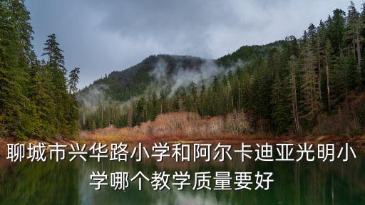 聊城市兴华路小学和阿尔卡迪亚光明小学哪个教学质量要好
