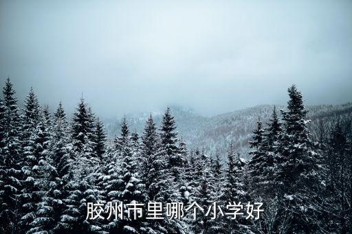 胶州市里哪个小学好