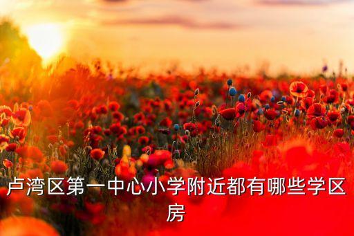 卢湾区第一中心小学附近都有哪些学区房