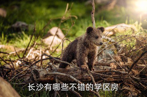长沙有哪些不错的学区房