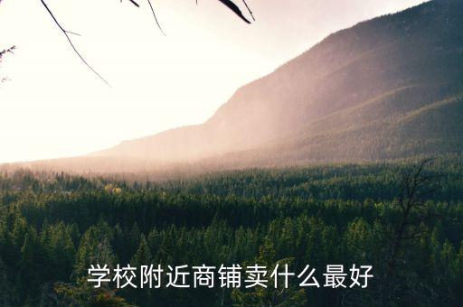 学校附近商铺卖什么最好