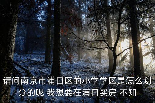 请问南京市浦口区的小学学区是怎么划分的呢 我想要在浦口买房 不知
