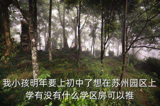 苏州工业园区学区房哪个好，我要依据苏州工业园请问哪所小学好附近的房价如何