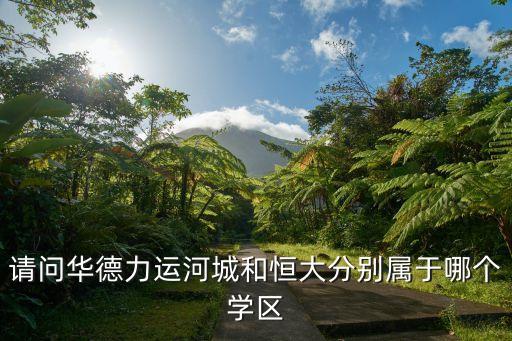 请问华德力运河城和恒大分别属于哪个学区