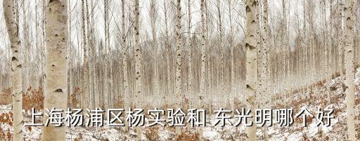 上海杨浦区杨实验和 东光明哪个好