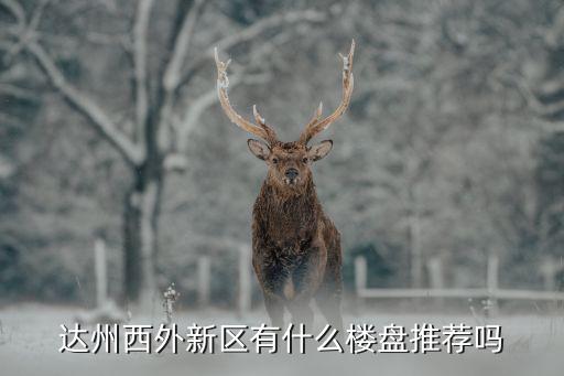 达州西外新区有什么楼盘推荐吗