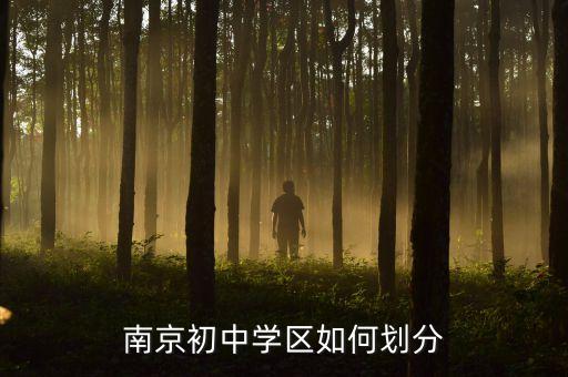 明年南京学区房有哪些，南京市区买学区房哪边好