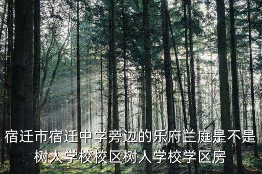 宿迁市宿迁中学旁边的乐府兰庭是不是树人学校校区树人学校学区房