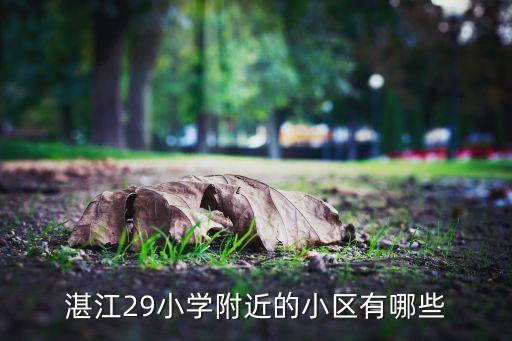 湛江29小学附近的小区有哪些