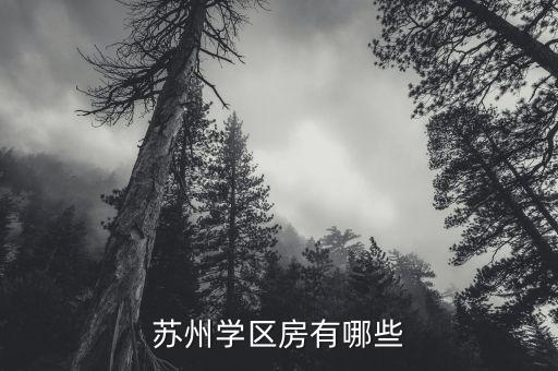 苏州学区房有哪些
