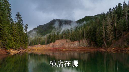 东阳豪庭世家学区房是哪个，横店在哪