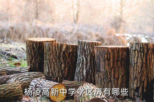 杨凌高新中学学区房有哪些