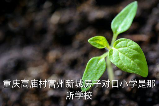 重庆高庙村富州新城房子对口小学是那所学校
