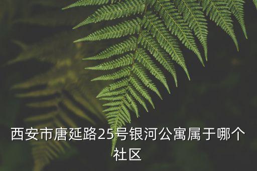 西安市唐延路25号银河公寓属于哪个社区