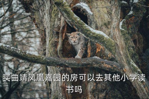 曲靖哪些位置是学区房，曲靖市沿江职业技术学校公租房地址在哪