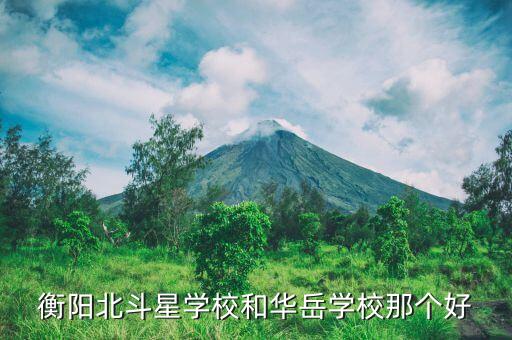 华岳学区房哪个好，北斗星实验中学与成龙成章及华岳实验中学哪一个好