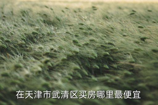 在天津市武清区买房哪里最便宜