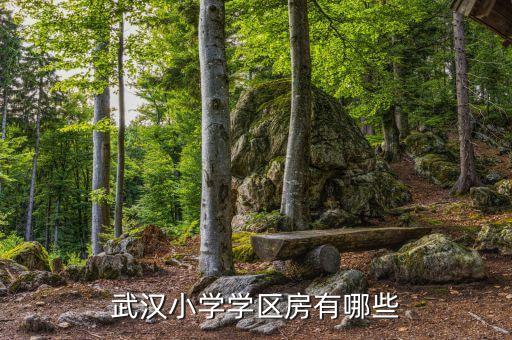 武汉小学学区房有哪些