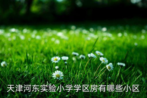 天津哪个公园附近有学区房，处于天津中心比较好的学区房在哪