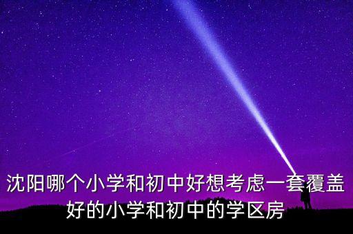 沈阳哪个小学和初中好想考虑一套覆盖好的小学和初中的学区房