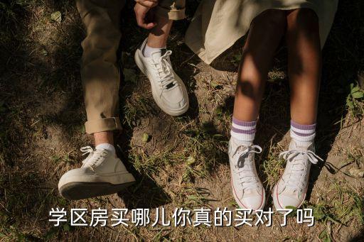 学区房买哪儿你真的买对了吗