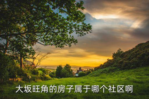 旺角属于哪个学区房，石家庄市旺角国际属于哪个区