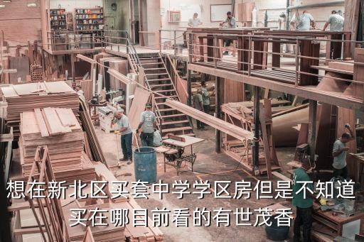想在新北区买套中学学区房但是不知道买在哪目前看的有世茂香