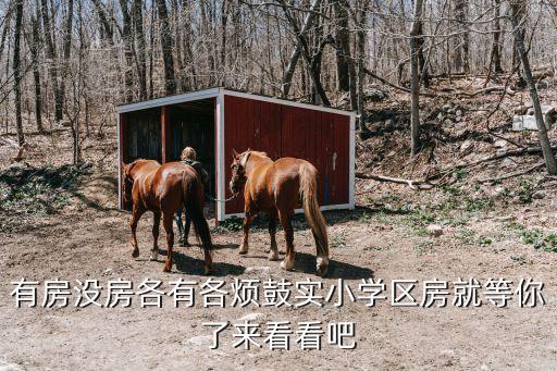 有房没房各有各烦鼓实小学区房就等你了来看看吧