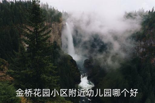 阿尔卡迪亚学区房哪个好，聊城市兴华路小学和阿尔卡迪亚光明小学哪个教学质量要好