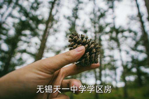 无锡天一中学学区房