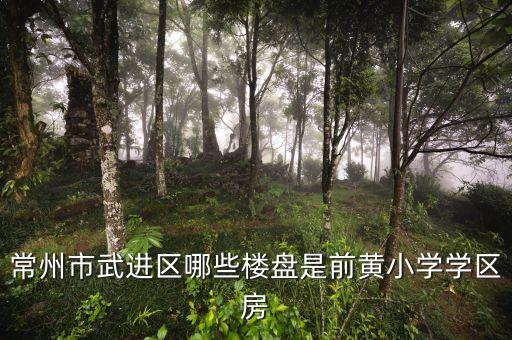 武进学区房有哪些，武进哪些房子是实验小学的学区房