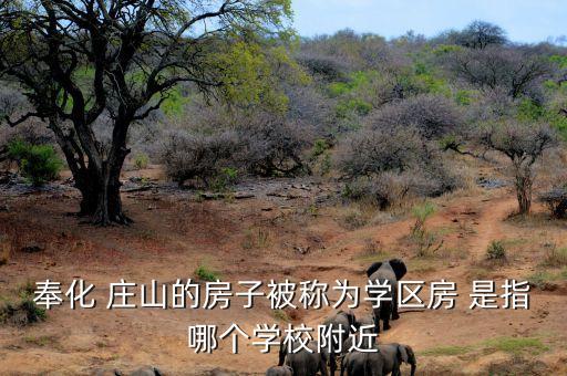 奉化 庄山的房子被称为学区房 是指哪个学校附近