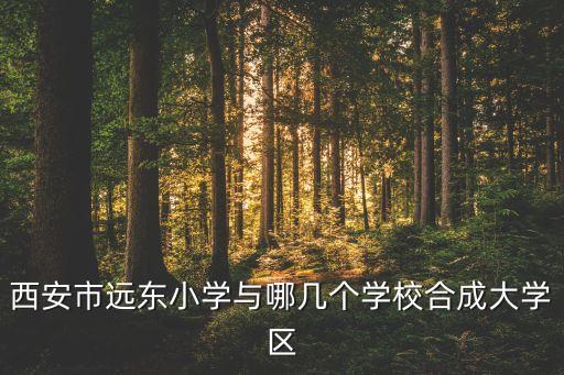 西安市远东小学与哪几个学校合成大学区