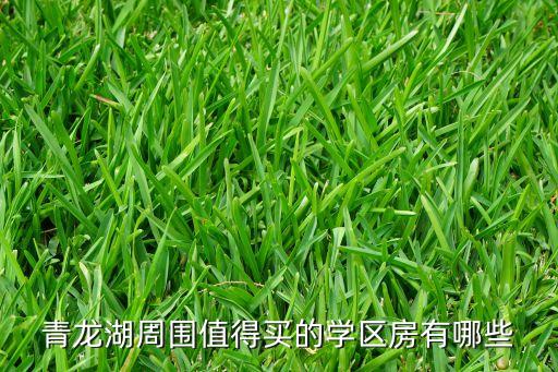 青龙湖周围值得买的学区房有哪些