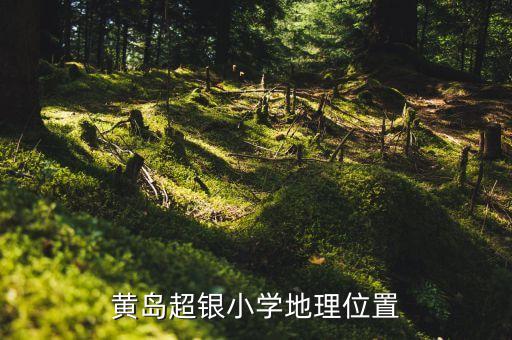 青岛超银小学学区房有哪些，青岛镇江路小学和超银小学那一个学校好