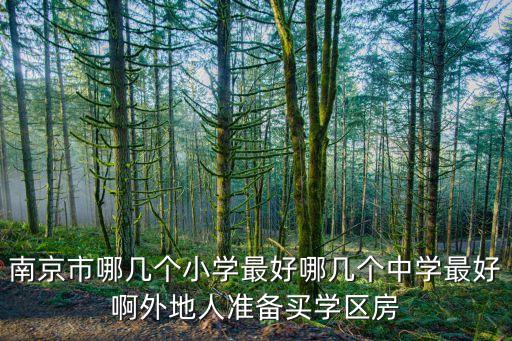 南京市哪几个小学最好哪几个中学最好啊外地人准备买学区房