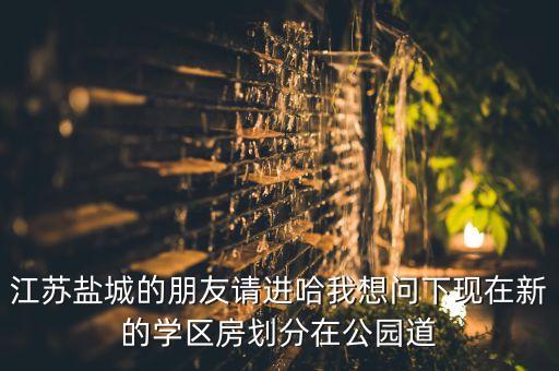江苏盐城的朋友请进哈我想问下现在新的学区房划分在公园道